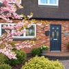 Photo 6: House