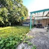Photo 2: garden
