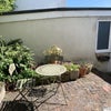 Photo 7: shared back yard, sunny morning coffee