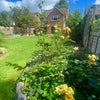 Photo 6: View from back garden