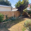 Photo 3: Garden