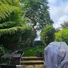 Photo 3: Shared garden