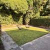 Photo 4: Garden
