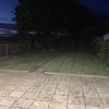 Photo 3: Garden 