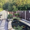 Photo 2: The Garden 