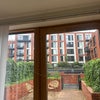 Photo 8: Garden 