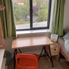 Photo 4: garden view