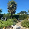 Photo 7: Garden