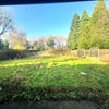 Photo 6: Shared garden 