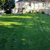 Photo 8: Garden