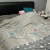 Photo 4: Double bedroom
