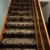 Photo 5: Staircase