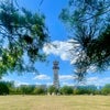 Photo 8: Beatiful park, just 2 mins walk