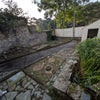 Photo 8: Garden