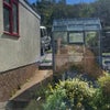 Photo 6: front garden, with greenhouse