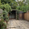 Photo 6: Back Garden 
