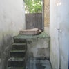 Photo 7: Garden