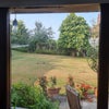 Photo 8: Lovely garden