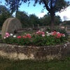 Photo 4: Garden