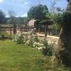 Photo 7: Garden
