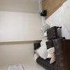 Photo 4: Living