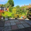 Photo 8: Garden