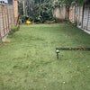 Photo 9: Garden