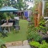 Photo 2: Shared outside area
