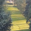 Photo 4: Lot of Walks nearby.