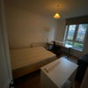 Photo 6: Available bedroom (better/newer photo coming soon!)