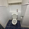 Photo 8: toilet