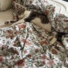 Photo 6: Meeko