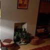 Photo 5: Lounge