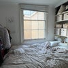 Photo 3: the room