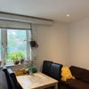 Photo 5: Living room
