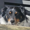 Photograph of Nadia 
