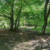 Photo 12: Horsenden Hill Trek