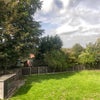 Photo 3: Garden