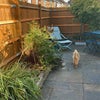 Photo 7: Garden, Street Access 