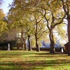 Photo 15: Pimlico Gardens by Thames 5min from the house
