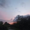 Photo 9: View from bedroom