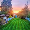 Photo 4: Garden when I've sorted the lawn out