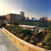 Photo 8: Roof Terrace