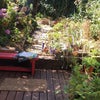 Photo 4: Little garden and patio, with gate to park