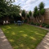 Photo 14: Garden
