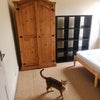 Photo 3: Bedroom