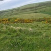 Photo 7: The downs