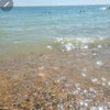 Photo 8: Rottingdean beach