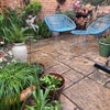 Photo 8: Back garden 