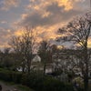 Photo 9: view!